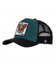 SUMOMIHI BUTTERFLY TRUCKER 2
