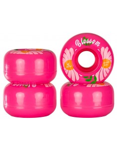 CHAYA Blossom 62*38MM 78A 2