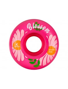 CHAYA Blossom 62*38MM 78A